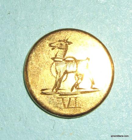 6th Foot Warwickshire Regiment Officers Small Gilt Blazer Button