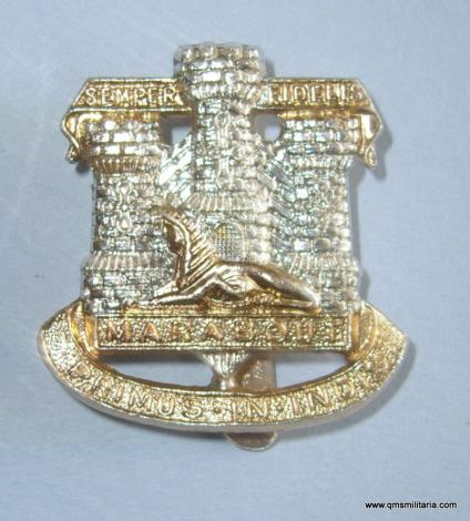 Devonshire & Dorset Regiment Anodised Aluminium AA Cap Badge - Dowler