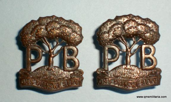Matched Pair of South African Pioneer Battalion Bronze Collar Badges