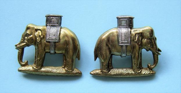 Duke of Wellington 's (West Riding) Regiment Officer 's pair of Full Dress facing silver plated and gilt collar badges