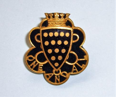 Victorian Duke of Cornwall's Light Infantry ( DCLI ) Officers Gilt Enamel and Velvet Backed Collar Badge