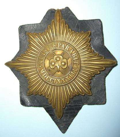 WW2 era Irish Guards Valise Badge on original leather backing