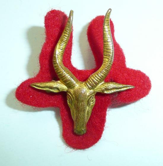 West African - Gold Coast Defence Force (Volunteers) Officers Gilt Collar Badge, c1927 - 1939