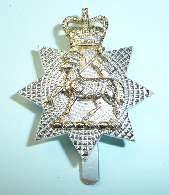Staybrite Queens Royal Surrey Regiment Cap Badge Anodised AA maker JR GAUNT London