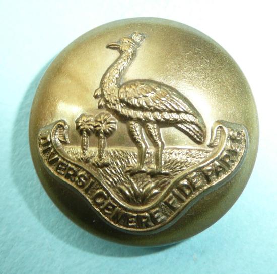 South African Northern Rhodesian Regiment Large Pattern Other Ranks Brass Button