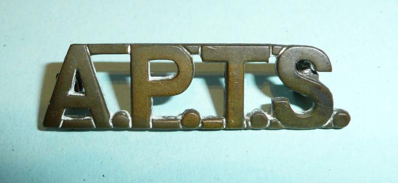 APTS Army Physical Training Staff Brass Shoulder Title