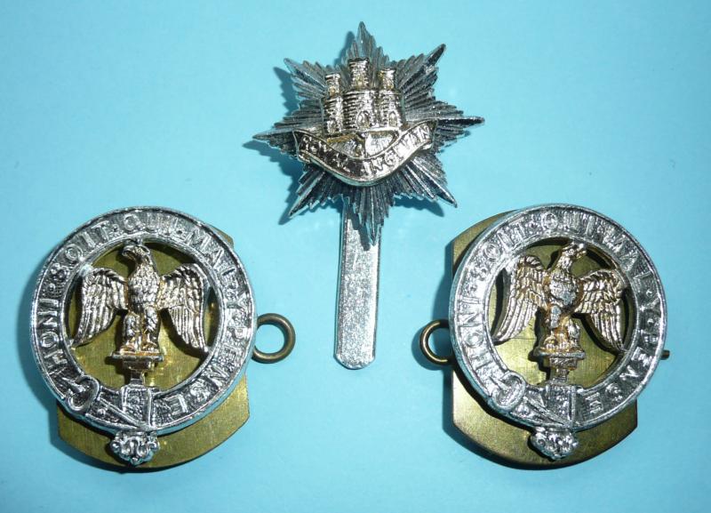 Royal Anglian Regiment AA Anodised Staybrite Cap Badge and Collar Set